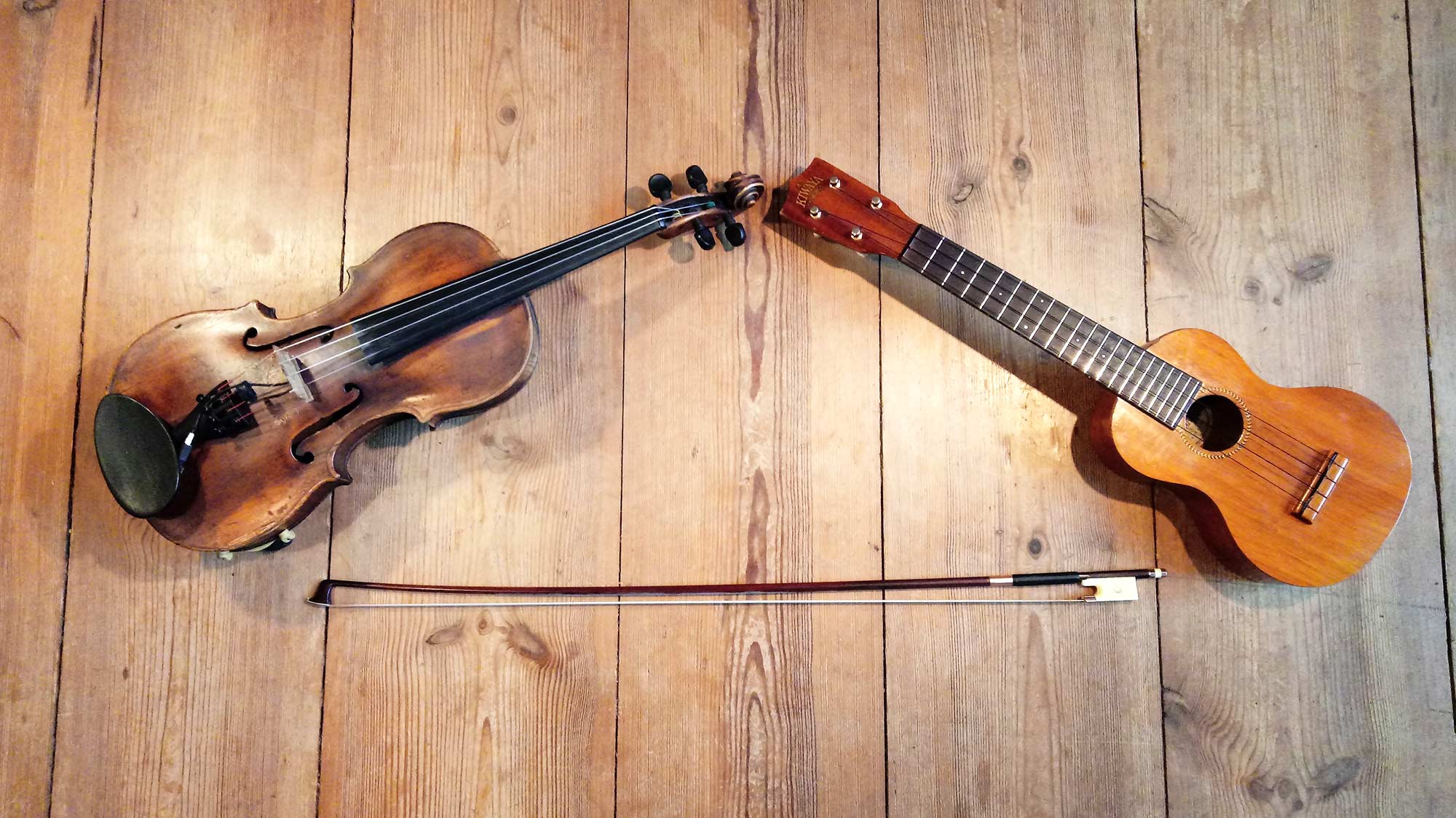 Geigen und Ukele-Unterricht in Pankow Daniel Friedrichs